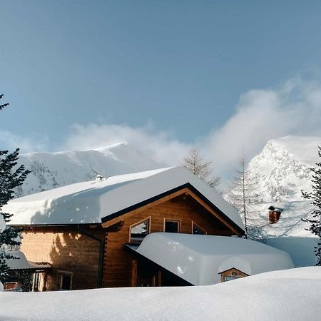 פטרגסן Heidi Chalets Falkert Heidialm - Chalet Almsommer מראה חיצוני תמונה