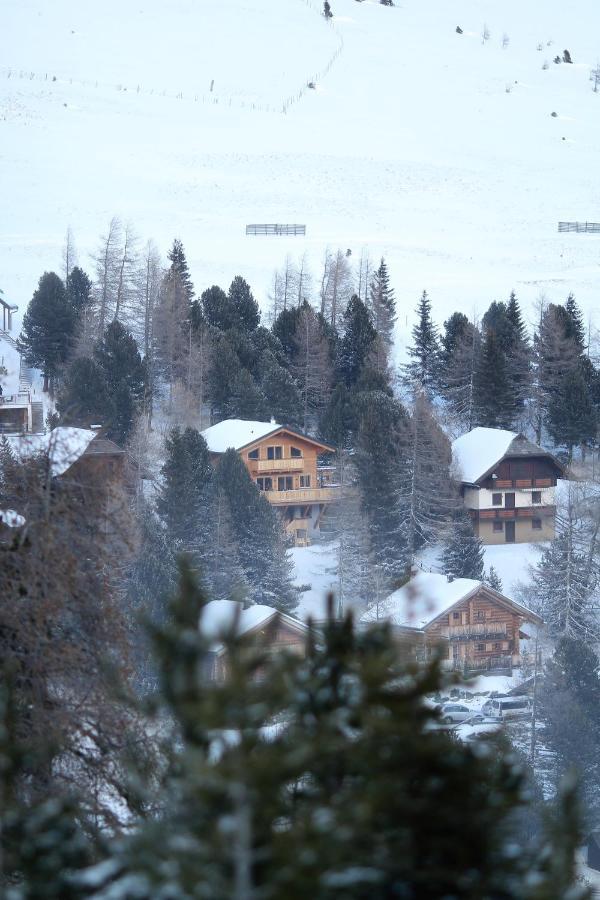 פטרגסן Heidi Chalets Falkert Heidialm - Chalet Almsommer מראה חיצוני תמונה