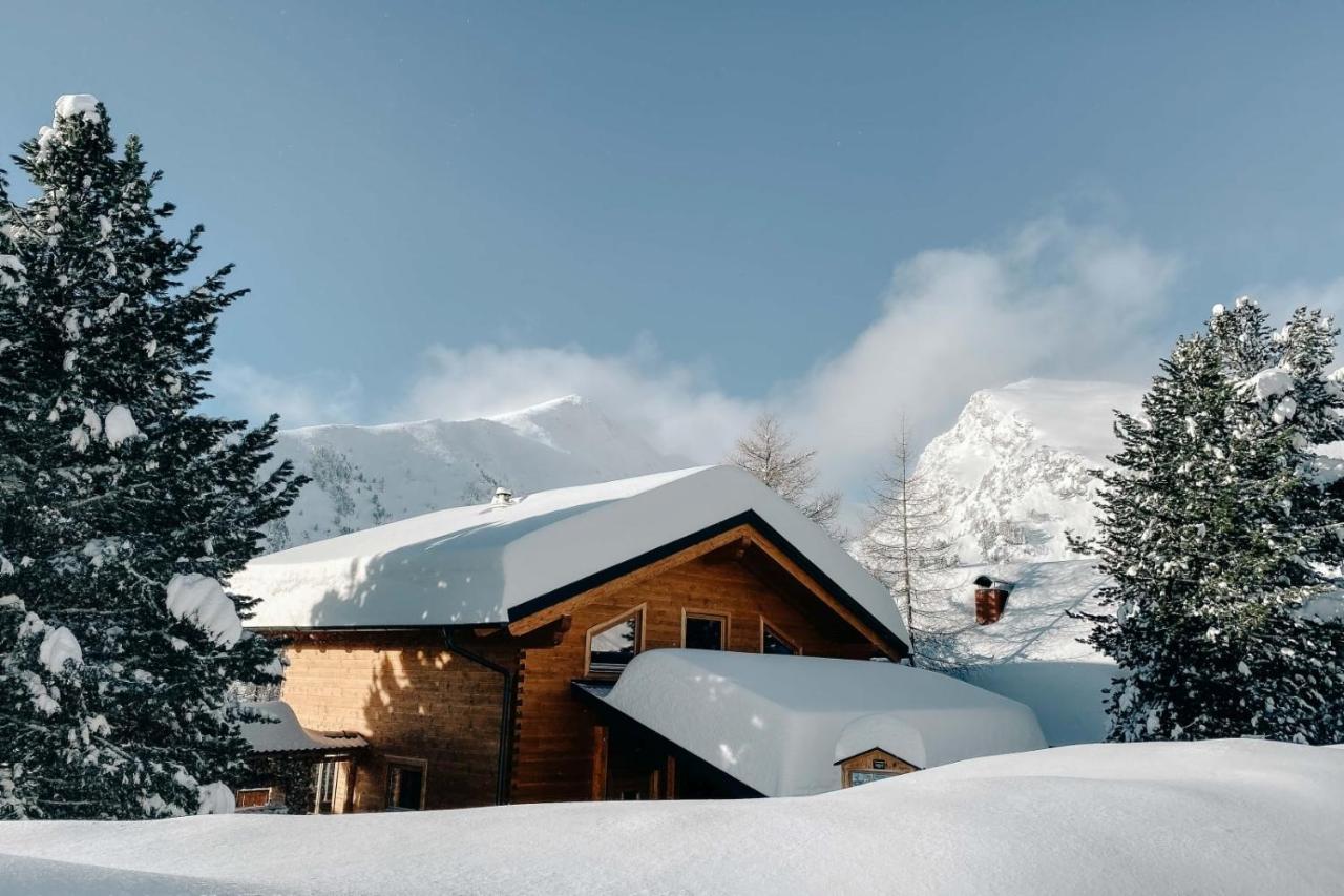 פטרגסן Heidi Chalets Falkert Heidialm - Chalet Almsommer מראה חיצוני תמונה